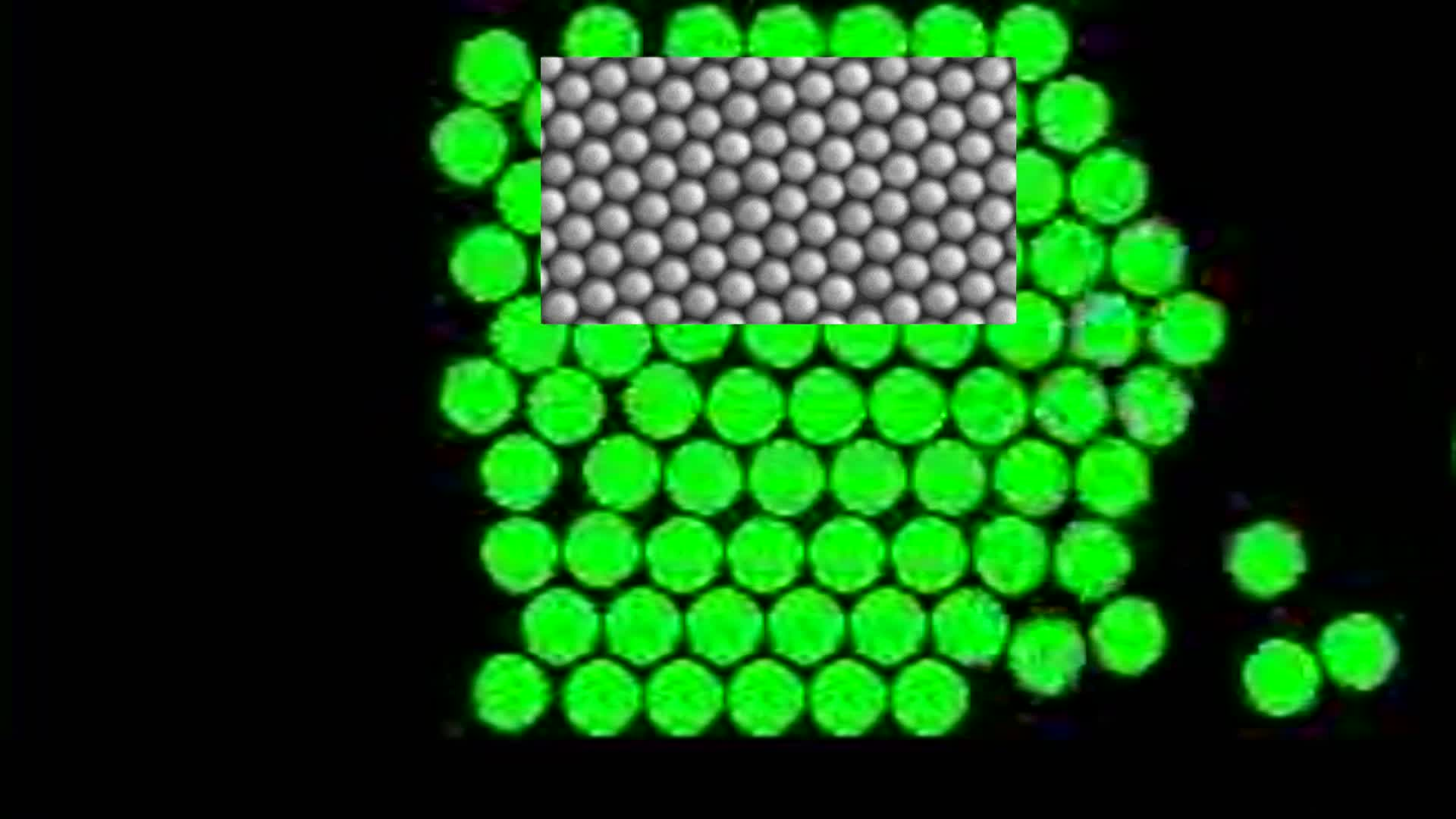 thumbnail of medium /cache/75ca0a1332be3b0b9365f42c724b3874.png