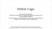 thumbnail of medium PANDA Gruppen und Gruppierungen